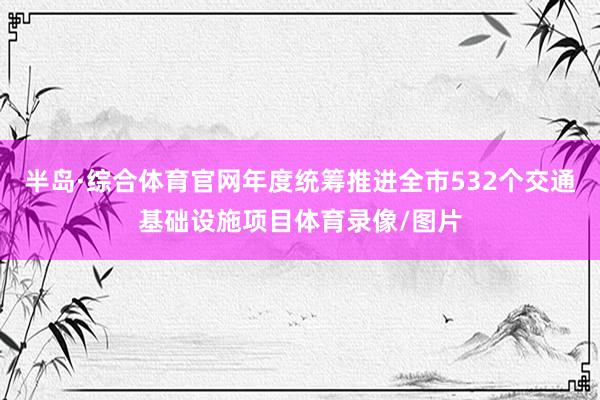 半岛·综合体育官网年度统筹推进全市532个交通基础设施项目体育录像/图片