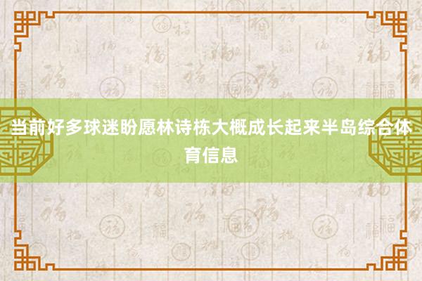 当前好多球迷盼愿林诗栋大概成长起来半岛综合体育信息