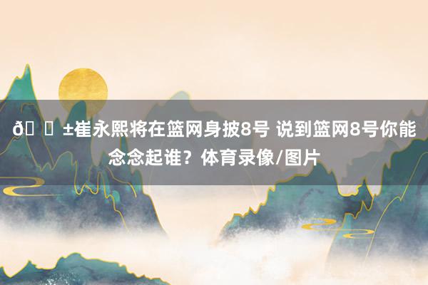 🎱崔永熙将在篮网身披8号 说到篮网8号你能念念起谁？体育录像/图片