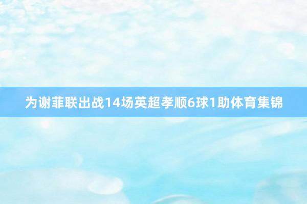 为谢菲联出战14场英超孝顺6球1助体育集锦